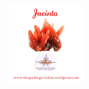 jacinto esencias florales de ritoque