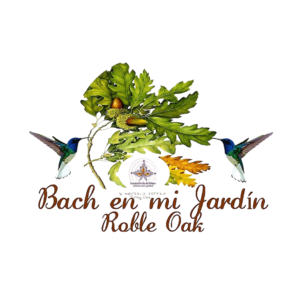 flores de bach roble oak