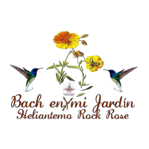Flores de Bach Heliantemo -Rock Rose