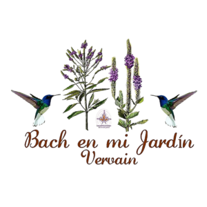 florees de bach verbena