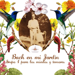 Flores de bach