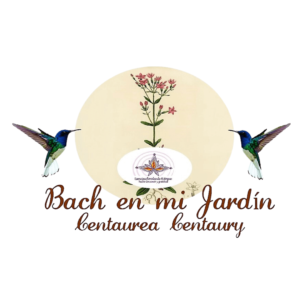 flores de bach Centaura- Centaury- Centaurium Umbellatum